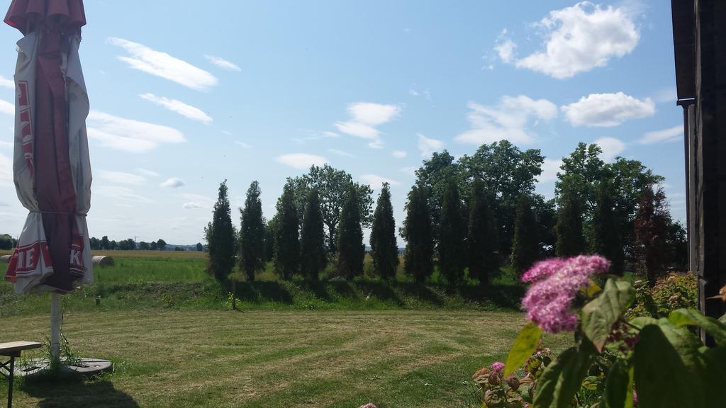 Pawlakowa Zagroda Otel Grabiny-Zameczek Oda fotoğraf